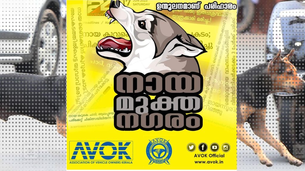 whatsapp image 2026 06 08 at 1.57.32 pm